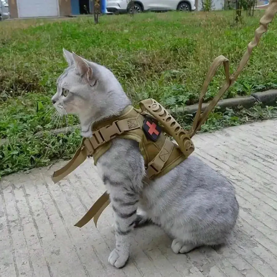 Outdoor Cat Vest Waterproof Cat Clothes Cat Chest Strap Special Vest for Walking Cats Can Be Adjusted Nova Trendz