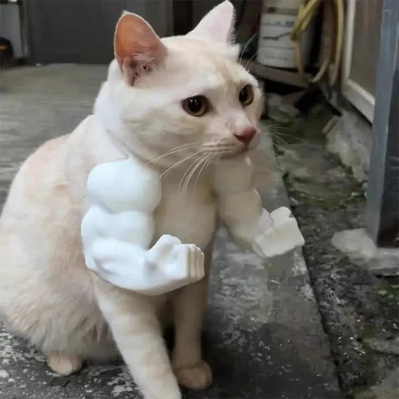 Funny Cat Muscle Arm Clothing Decoration Props 3D Printed Pet Interactive Neck Hanging Toy Role-playing Accessories Birthday Toy Nova Trendz