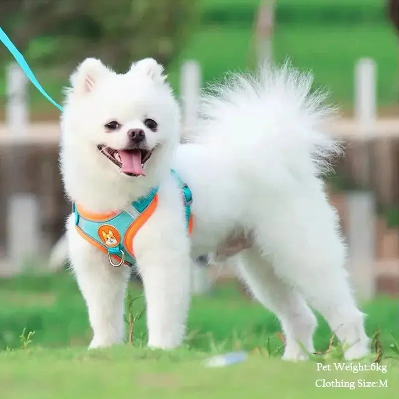 Booteely Pet Suede Chest Harness Vest Dog Cat Strap Reflective Leash Retractable For Small Light And Convenientn - Nova Trendz