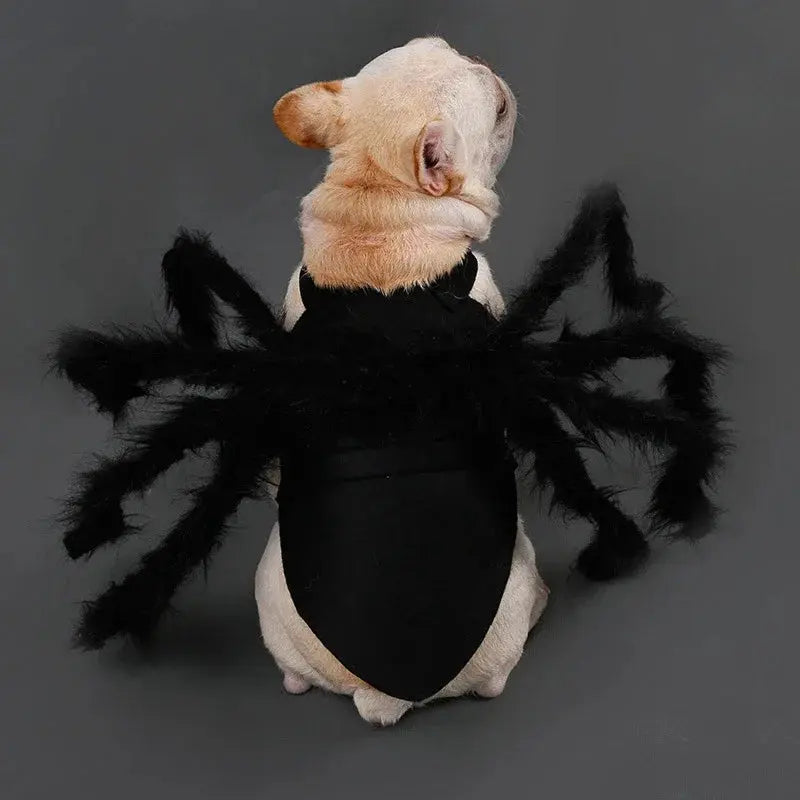 NONOR Halloween Dog Cat Clothes Pet Cosplay Funny Spider Costume Halloween Party Costumes for Small Medium Dog Cat Costumes Nova Trendz