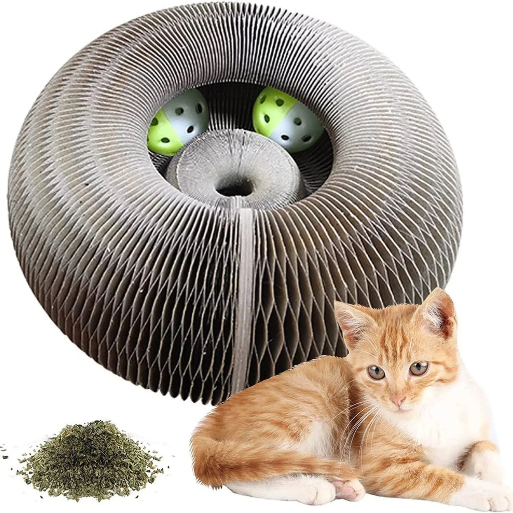 Magic Cat Scratch Organ Board Cat Toy with Ball Cat Grinding Claw Cat Climbing Frame Kitten Round Corrugated Cat Scratching Toy Nova Trendz
