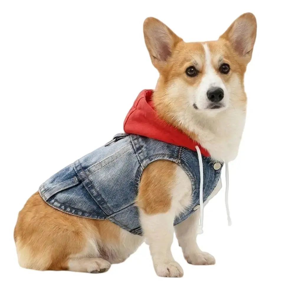 Denim Dog Jean Jacket Vest with D-Ring Cool Spring Dog Hoodies Breathable Lightweight Puppy Harness Coat For Small Medium Dogs - Nova Trendz