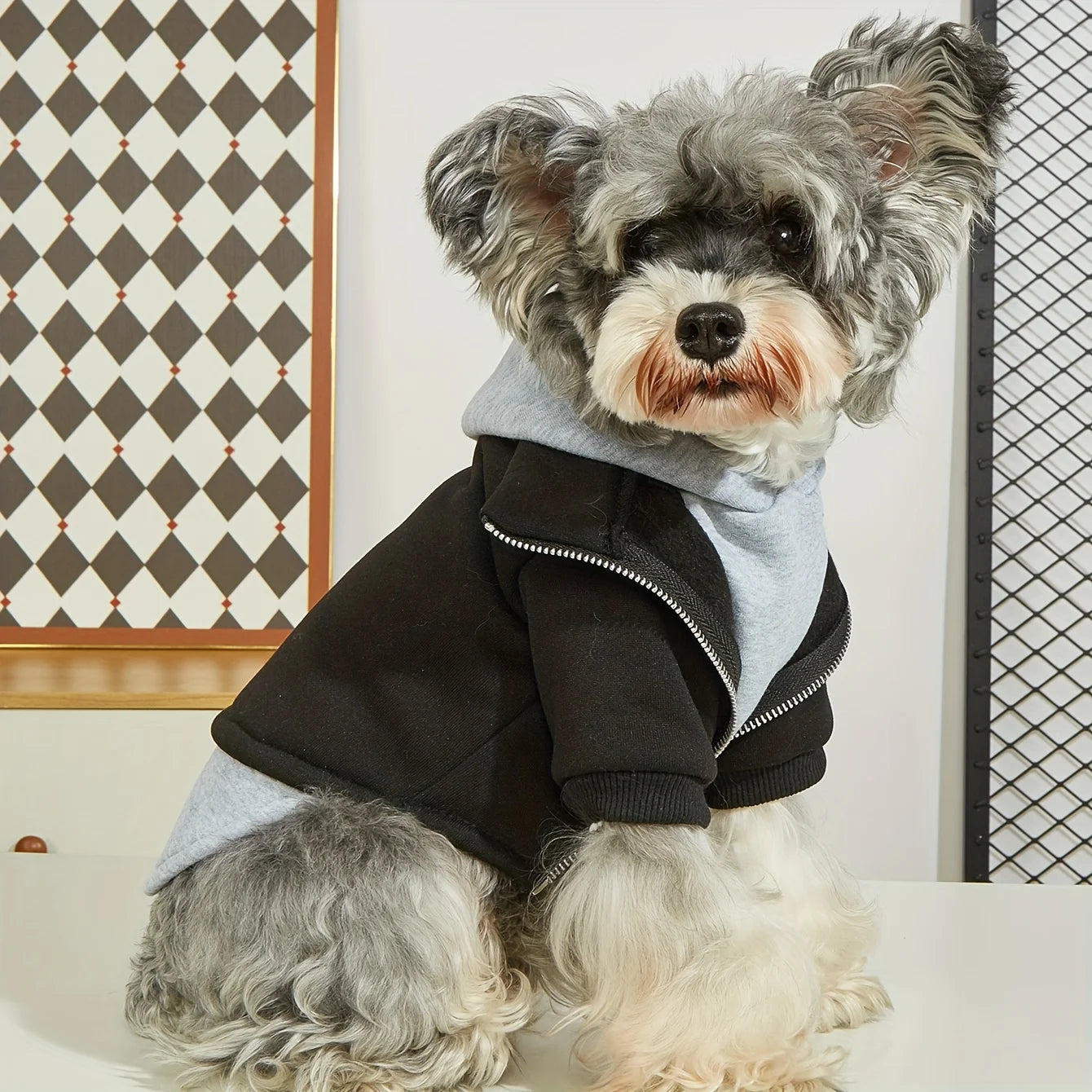 Winter Dog Clothes Pet Warm Hoodies Fashion Comfortable Dog Coat for Small Medium Dogs Nova Trendz