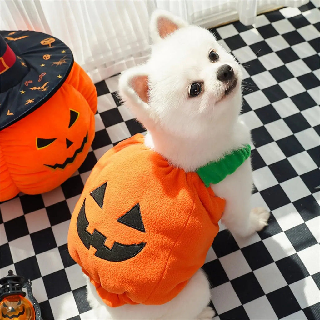 Halloween Pumpkin Lantern Dog Clothes Transformation Costume Cosplay Funny Cat Teddy Dog Special Events Apparel Comical Outfits - Nova Trendz