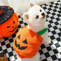 Halloween Pumpkin Lantern Dog Clothes Transformation Costume Cosplay Funny Cat Teddy Dog Special Events Apparel Comical Outfits - Nova Trendz