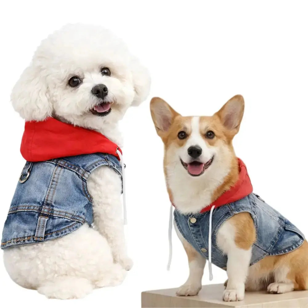Denim Dog Jean Jacket Vest with D-Ring Cool Spring Dog Hoodies Breathable Lightweight Puppy Harness Coat For Small Medium Dogs - Nova Trendz
