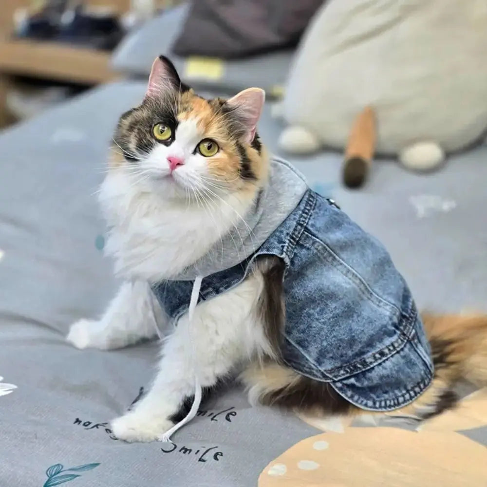 Denim Dog Jean Jacket Vest with D-Ring Cool Spring Dog Hoodies Breathable Lightweight Puppy Harness Coat For Small Medium Dogs - Nova Trendz