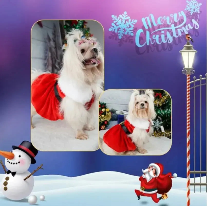 Pet Christmas Clothing Dog Cat Red Dress Warm Bow Frock Golden Velvet Fabric Santa Claus Clothes Dogs Cats Garment Pets Supplies - Nova Trendz