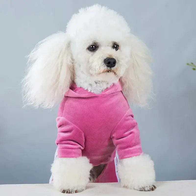 Luxury Velvet Dog Clothes,Dog Jumpsuit,Small Medium Dogs,Yorkie Puppy Costume,Hooded Coat,Tracksuit Overalls,Autumn,Winter - Nova Trendz