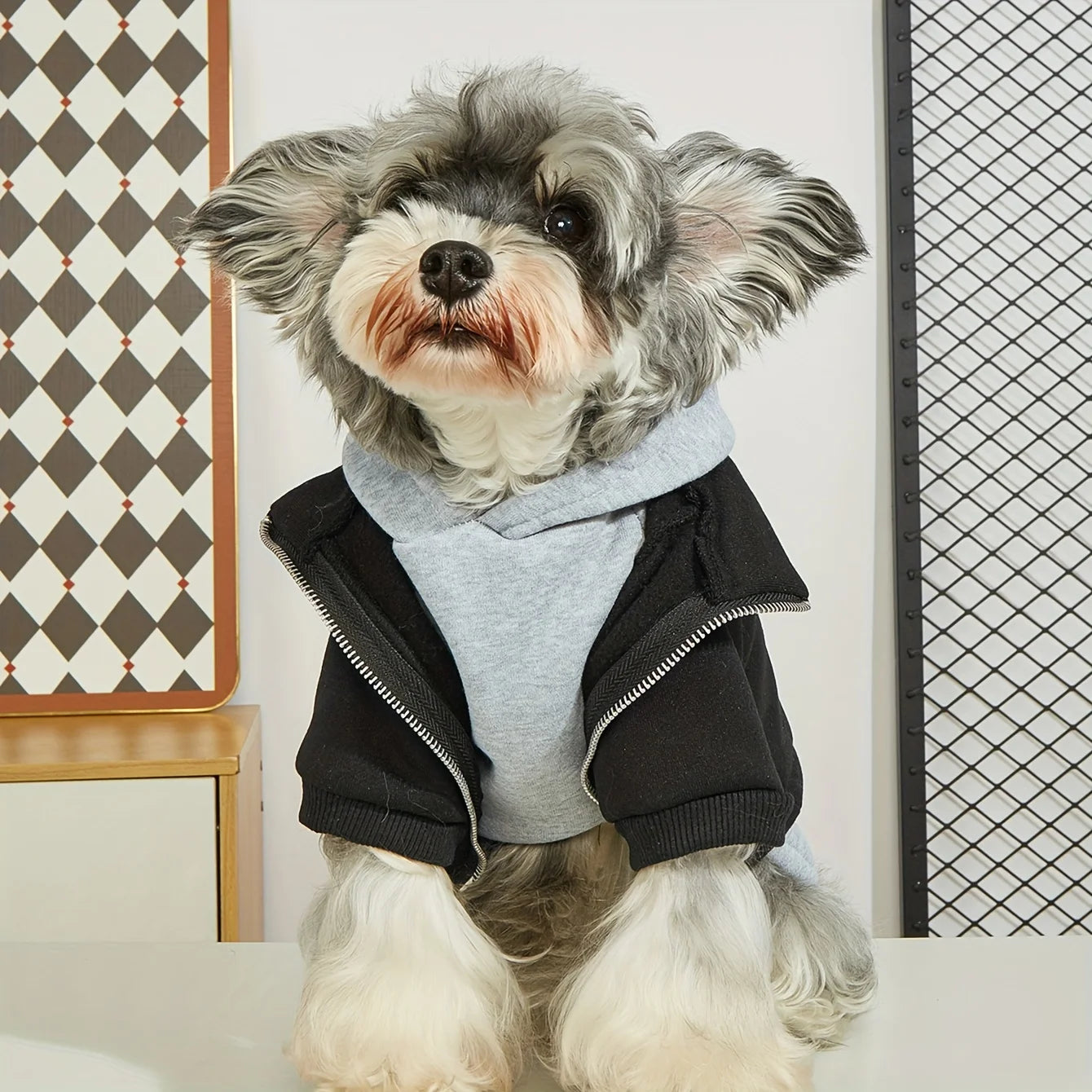 Winter Dog Clothes Pet Warm Hoodies Fashion Comfortable Dog Coat for Small Medium Dogs Nova Trendz