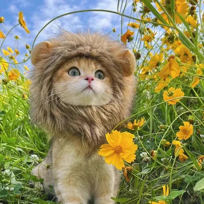Cat Costume Cute Lion Mane Cat Wig Hat Cosplay Clothes Cap Dress Up Puppy Kitten Halloween Christmas Party Decoration Supplies Nova Trendz