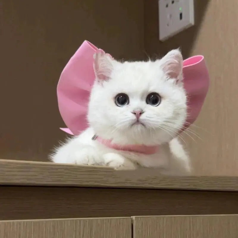 Cat Mermaid Crossdressing Funny Swimsuit Fish Tail Shape Cute Bikini Dog Pet Clothes Pet Halloween Costume Cats Clothes - Nova Trendz