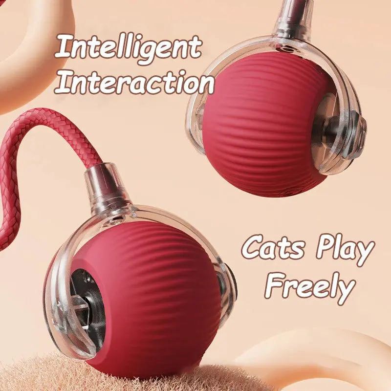 Cat Interactive Ball Toys Automatic Rolling Ball Faux Tail Rechargeable Smart Pet Electric Toy Dog Cat Training Imitate Mouse - Nova Trendz