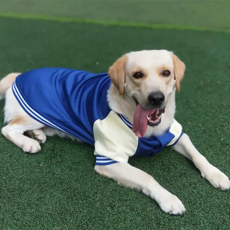 M~7XL Warm Big Dog Baseball Suit Medium Large Dogs Autumn Winter Clothing Golden Retriever Labrador Dog Sweater Thick Style - Nova Trendz