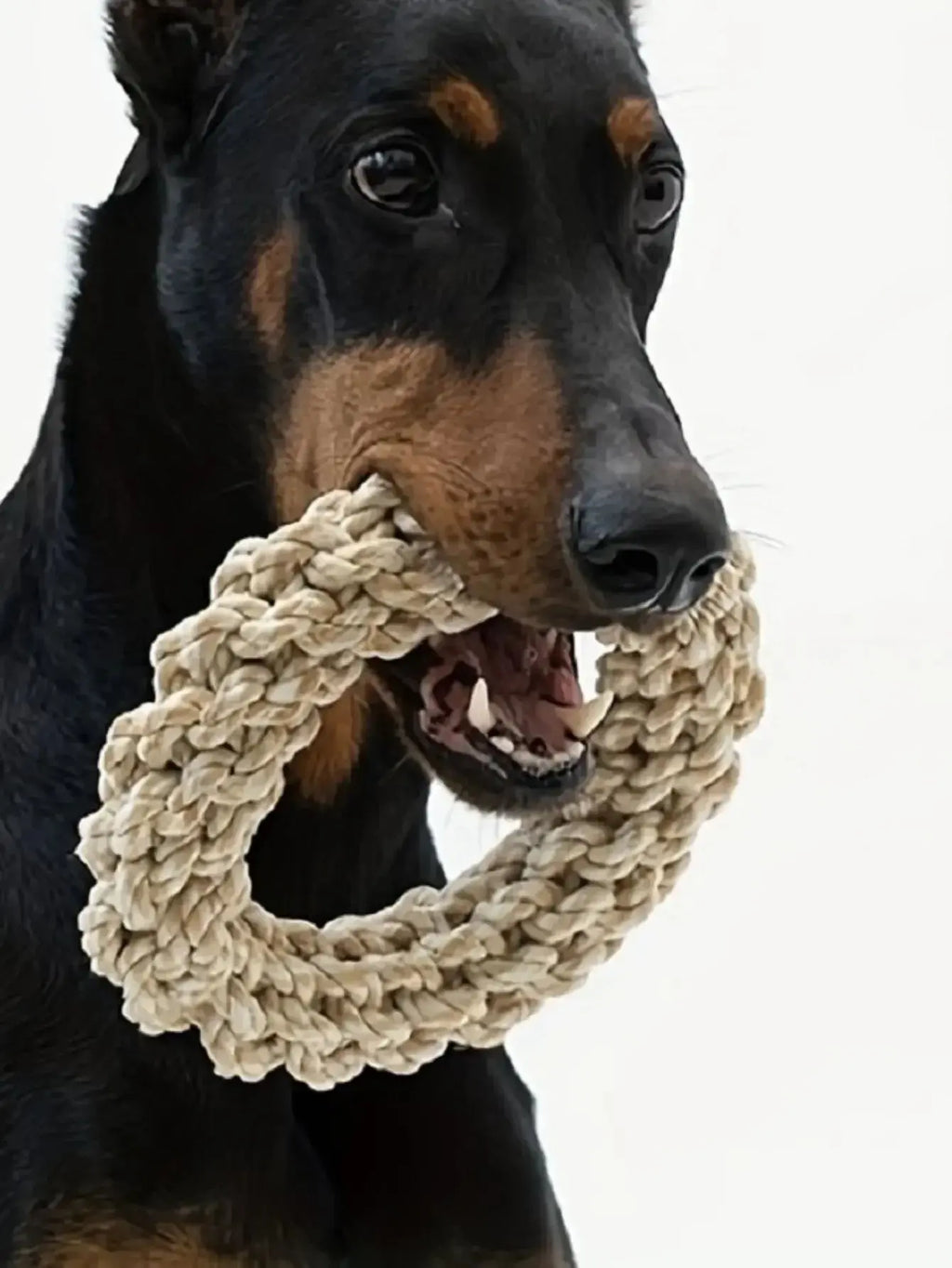 Pet Dog Rope Toy Durable Chew Bite Resistant Pet Toys for Medium Large Dogs Golden Retriever Pitbull Labrador Supplies Nova Trendz