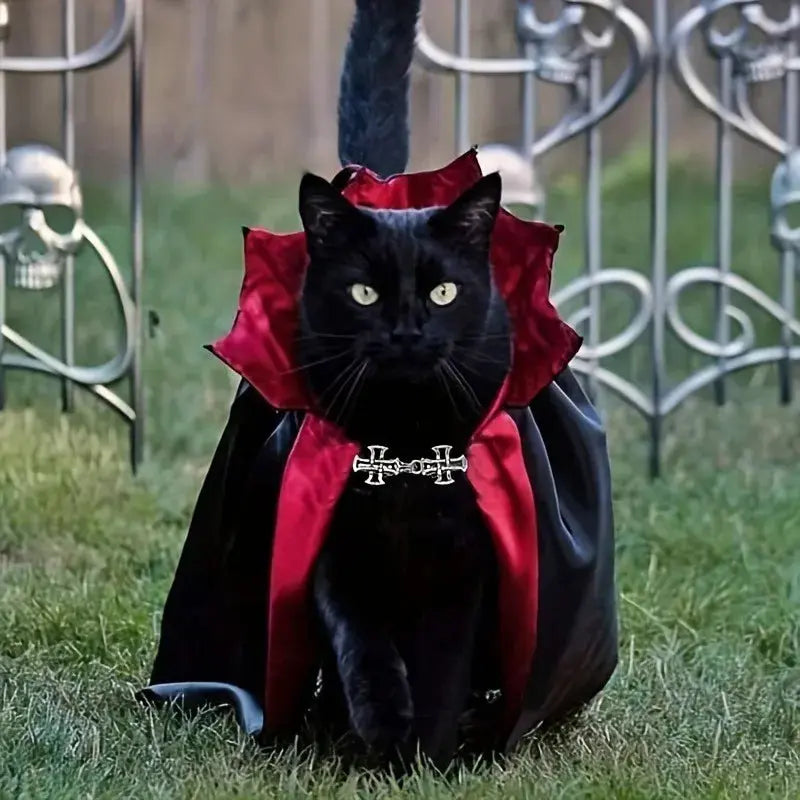 Spooky Halloween Vampire Couture for Cats Perfect Parties and Festivals Halloween Cloak Hat Festival Set Dress up pet clothes - Nova Trendz
