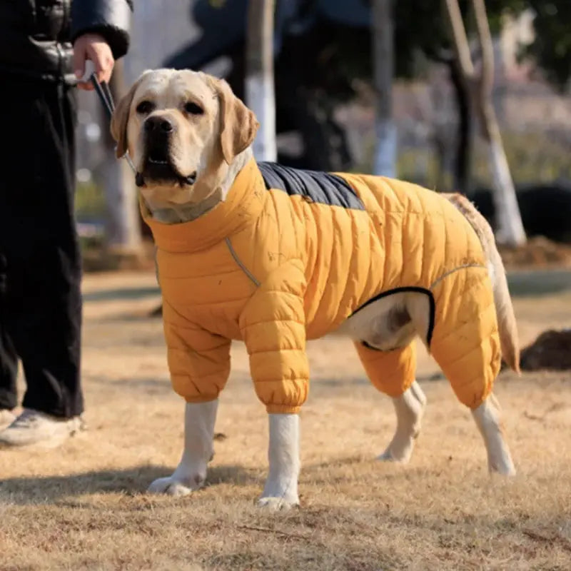 Dog Thicken Cotton-padded Coat Pet Warm Down Jacket Windproof 4 Legs Pet Outfit Winter Greyhound Husky Corgi Chihuahua Clothes - Nova Trendz