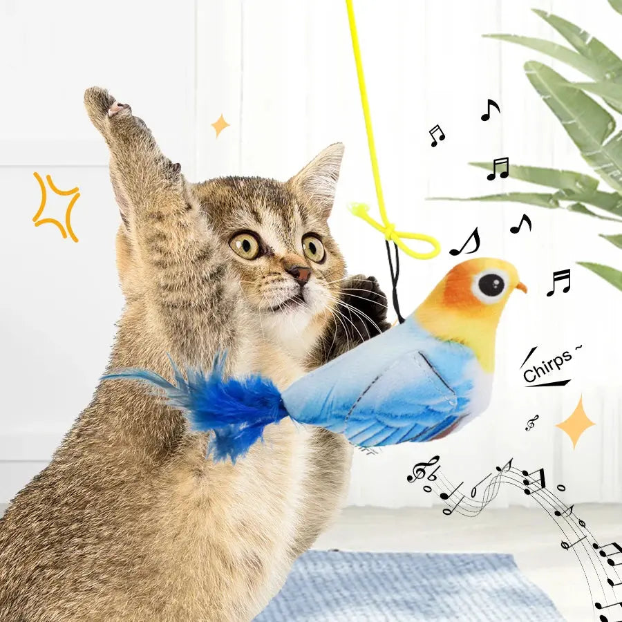 Random color Queaky Feathered Bird Cat Toy - Interactive Play and Chirp for Kittens, No Battery Needed, Ideal for Medium Breeds Nova Trendz
