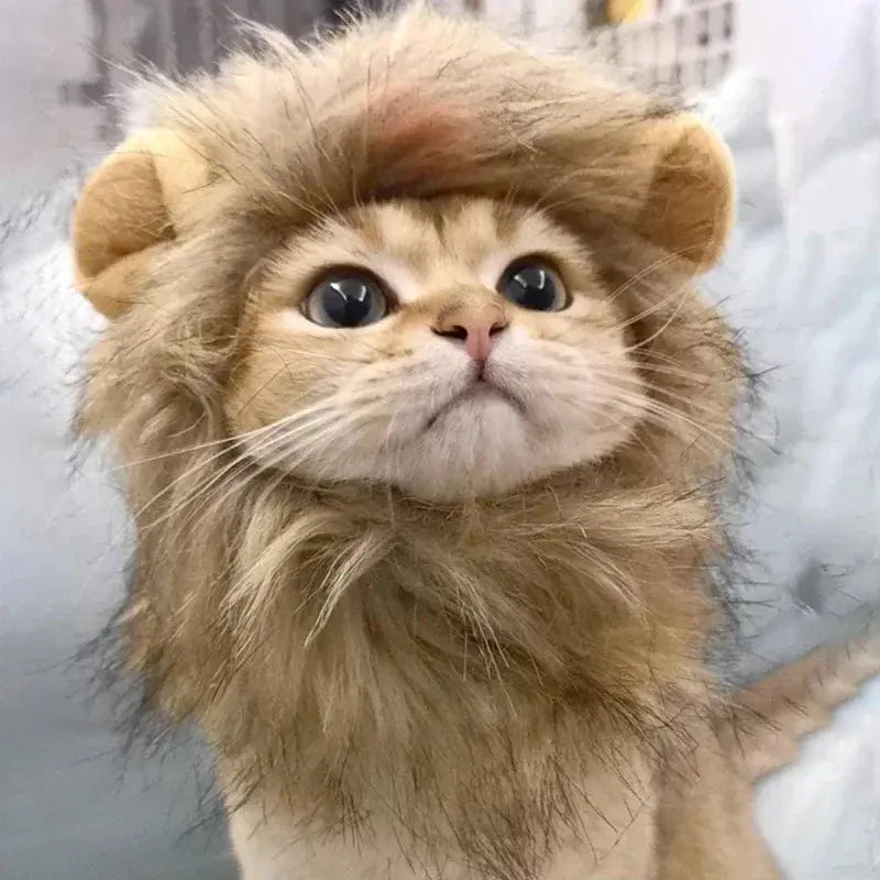 Cat Cosplay Dress Up Pet Hat Lion Mane for Cat Puppy Lion Wig Costume Party Decoration Halloween Christmas GatosPet Supplies Nova Trendz
