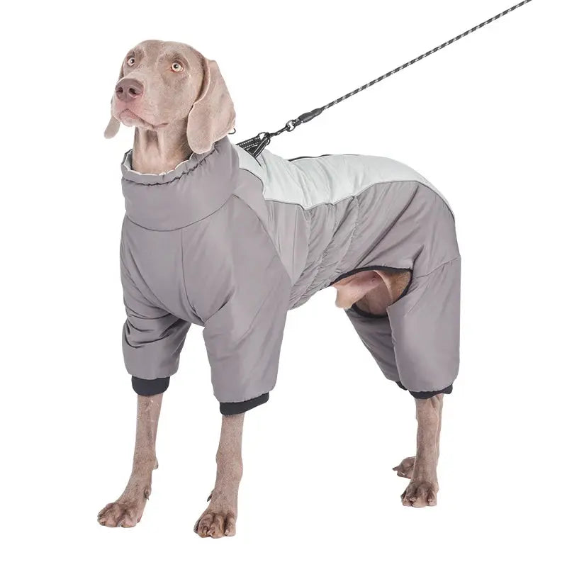 Waterproof Pet Dog Winter Jumpsuit Warm Medium Large Dogs Winter Jacket Clothes Labrador Bulldog Golden Retriever Costumes - Nova Trendz