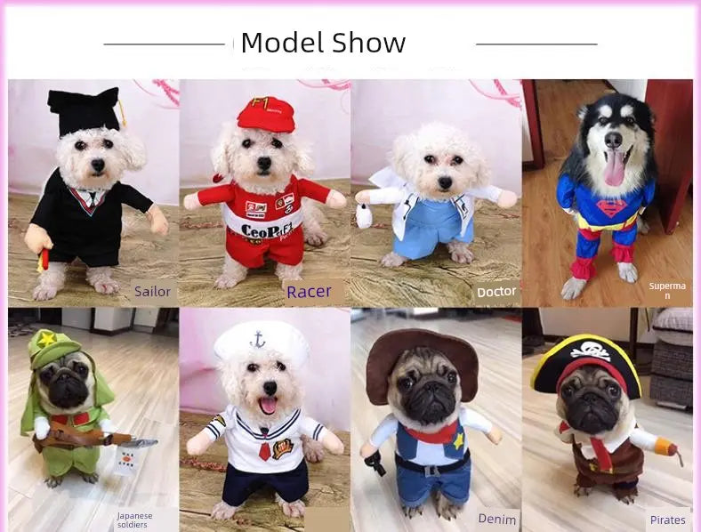 Cat Clothes Dog Clothes Teddy British Shorthair Pet Costume Funny Selling Cute Upright Pet Costume Spring and Summer Clothes Hot Nova Trendz