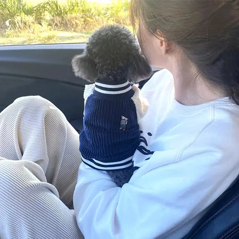 Cute Embroidered Pet Baseball Jackets Dog Clothes For Small Medium Cat Teddy Coat Puppy Spring Clothes Warm Fashion Pet Outfit Nova Trendz