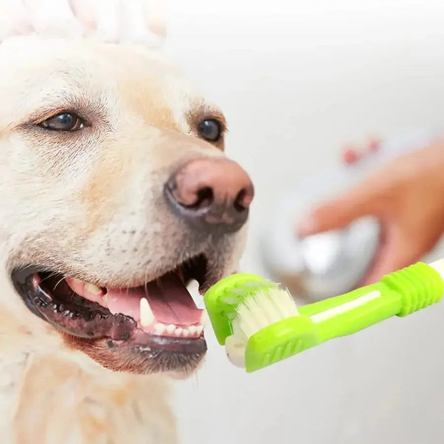 3-Sided Pet Toothbrush Dog Plastic Toothbrush Removing  Tartar Cleaning Mouth Pet  Care Cat Cleaning Mouth - Nova Trendz