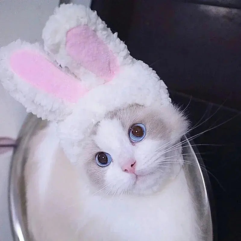 Cat Costume Cute Lion Mane Cat Wig Hat Cosplay Clothes Cap Dress Up Puppy Kitten Halloween Christmas Party Decoration Supplies Nova Trendz