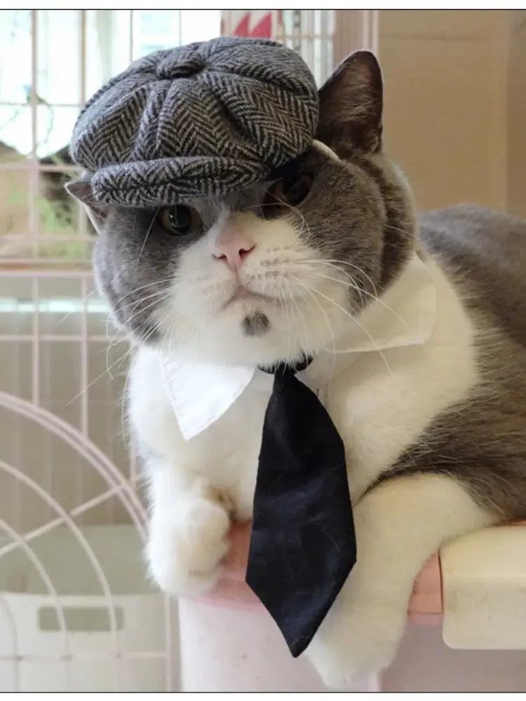 Funny Pet Cat Hat Gentleman's Hat Beret Tie Bathing Blood Gangster Handsome Cosplay Photo Prop Dog Halloween Costume Nova Trendz