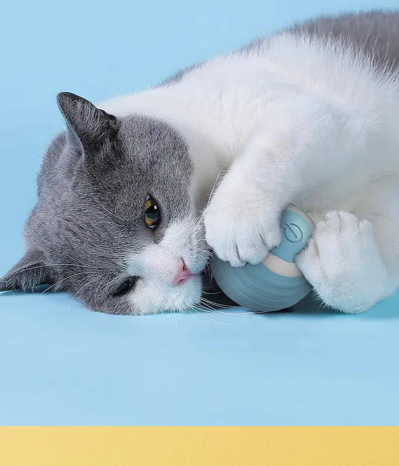 Electric Cat Toy Smart Rolling Ball Resistant To Bite Teasing Cats Toys Self-exciting Ball Artifact Dust-free Pet Supplies Nova Trendz