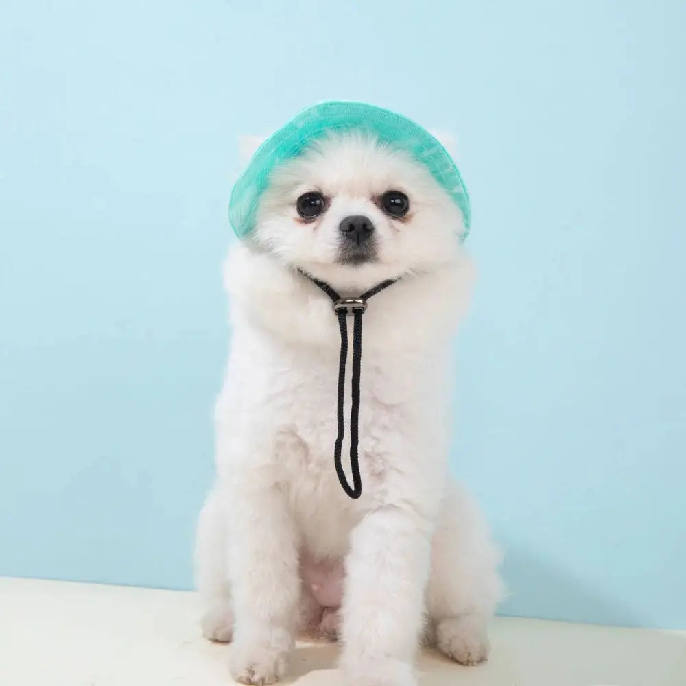 Pet Hat with Ear Holes Summer Outdoor Cute Dog Cat Hat Colorful Adjustable Baseball Cap for Small Medium Dogs Cats Pet Supplies Nova Trendz
