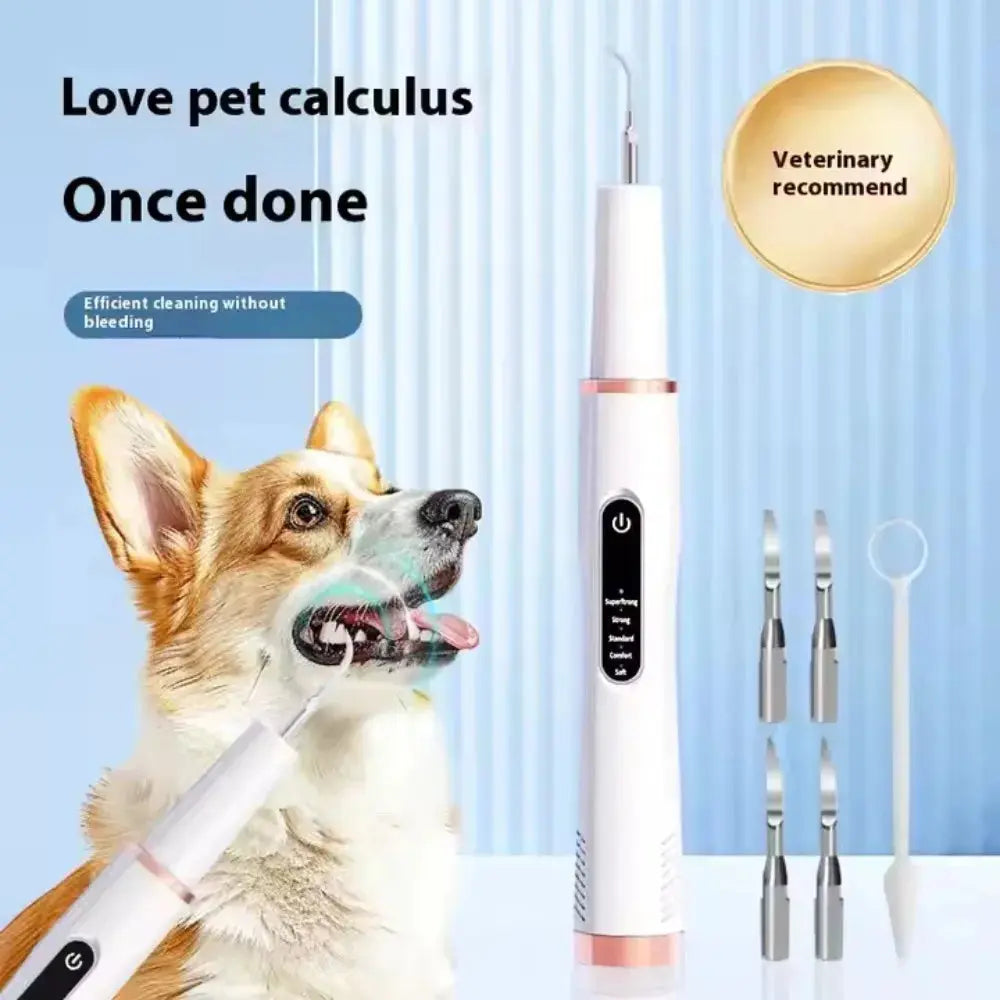 Dog Cat Grooming Smart Dental Ultrasonic Scaler Household Tooth Stone Remover Tooth CleanerTooth Whitening Oral Cleaning Tools - Nova Trendz
