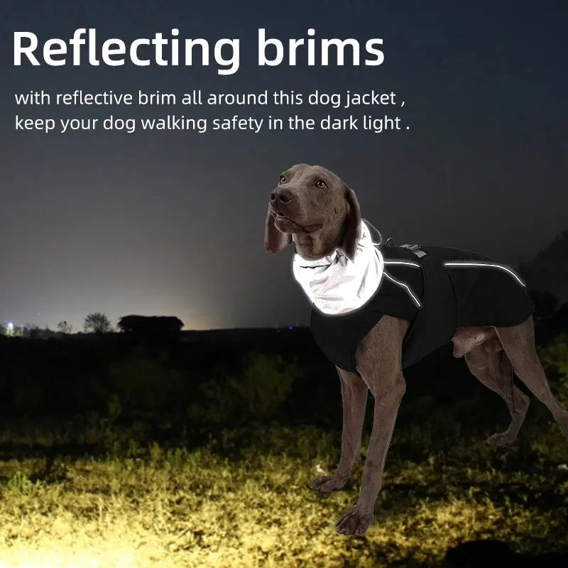 Dog Clothes Luxury Winter Jacket for Small Medium Large Dogs Waterproof Soft Padded Warm Pet Coat Safety Reflective  Dog Outfit - Nova Trendz