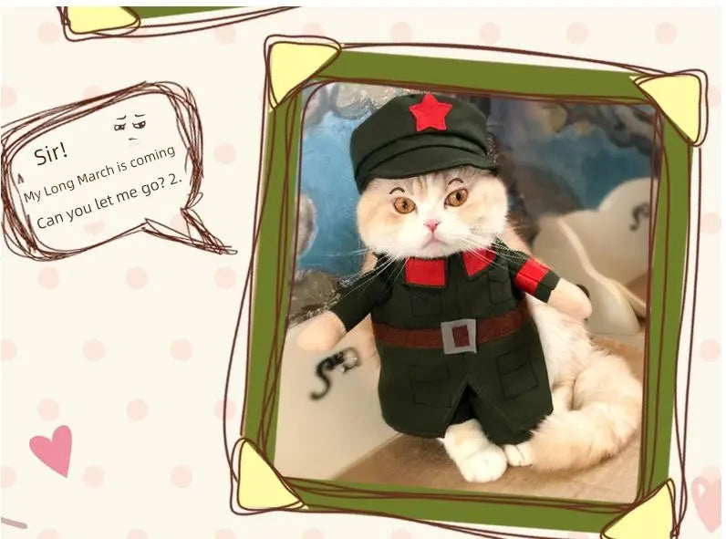 Cat Clothes Dog Clothes Teddy British Shorthair Pet Costume Funny Selling Cute Upright Pet Costume Spring and Summer Clothes Hot Nova Trendz