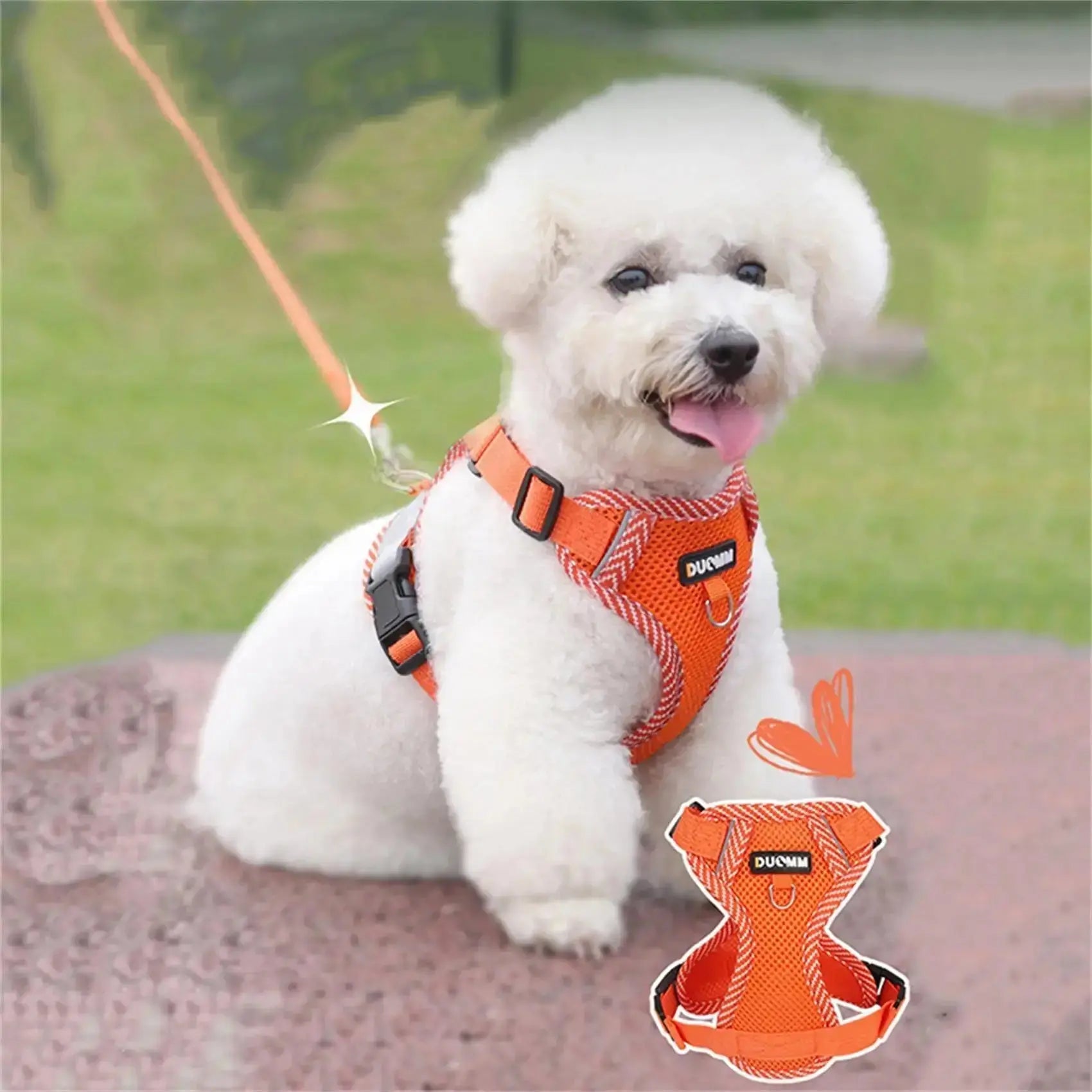 New Dog Leash Vest Type Pet Chest Strap Reflective and Breathable Walking Cat Rope Dog Rope Nova Trendz