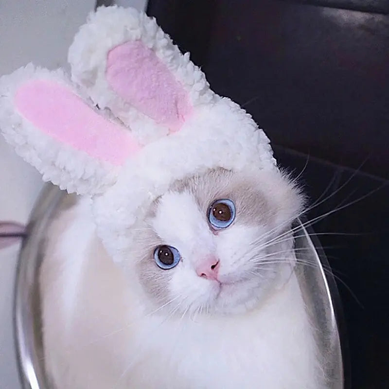 Cat Cosplay Dress Up Pet Hat Lion Mane for Cat Puppy Lion Wig Costume Party Decoration Halloween Christmas GatosPet Supplies Nova Trendz