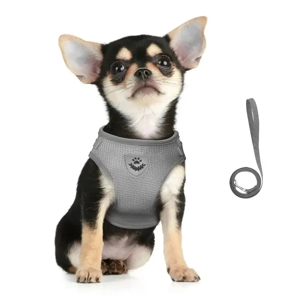 Cat Harness Lead Leash Set Adjustable Reflective Escape Proof Pet Mesh Vest Harness Puppy Dog Collar Small Dog Cat Pet Supplies - Nova Trendz