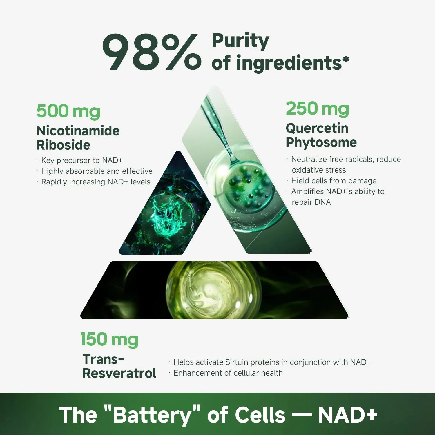 NR900 Supplement - Liposomal Nicotinamide Riboside, Resveratrol, Quercetin by Quitmood- High Purity NAD Supplement for Ski Nova Trendz
