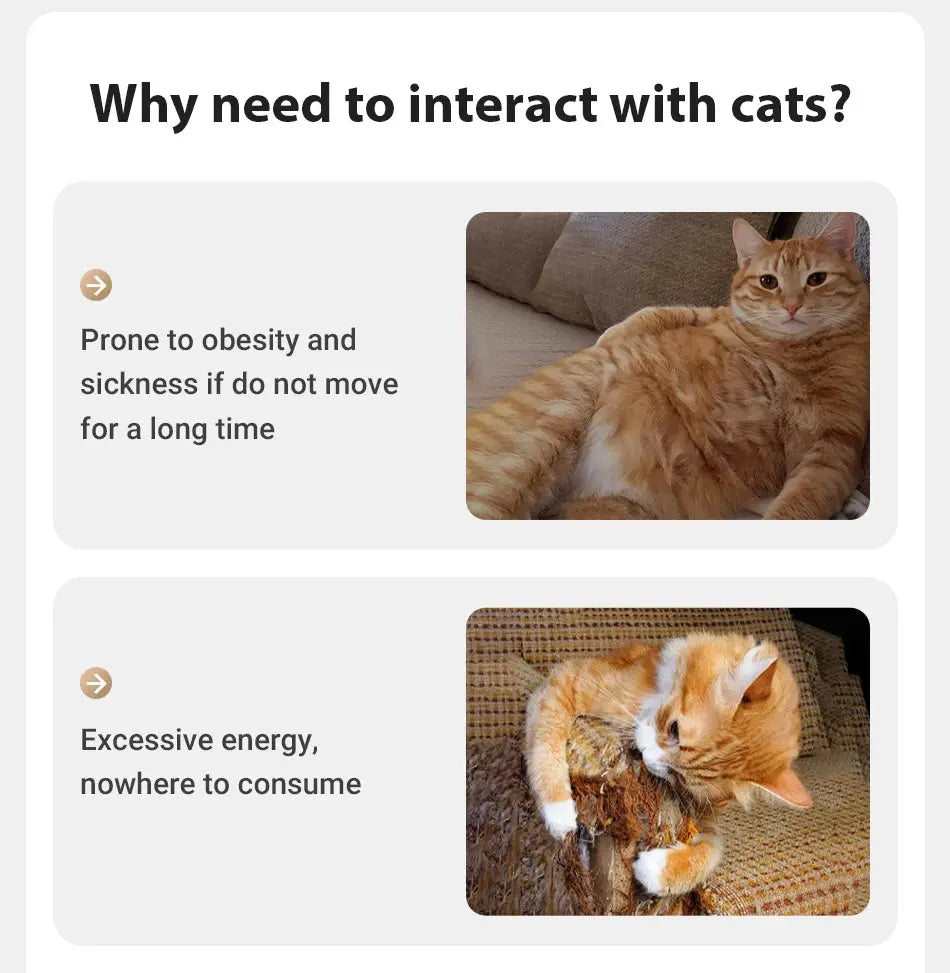 ROJECO Automatic Cat Laser Toy Interactive Adjustable Mode Electric Cat Toy For Kitty Dog Indoor Smart Teasing Laser Cat Toys Nova Trendz