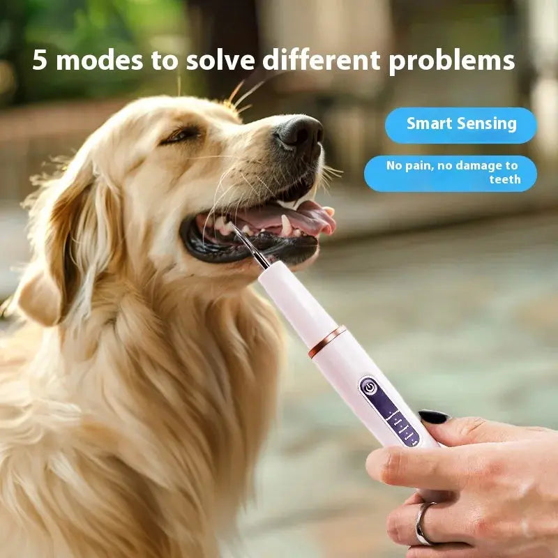 Dog Cat Grooming Smart Dental Ultrasonic Scaler Household Tooth Stone Remover Tooth CleanerTooth Whitening Oral Cleaning Tools - Nova Trendz