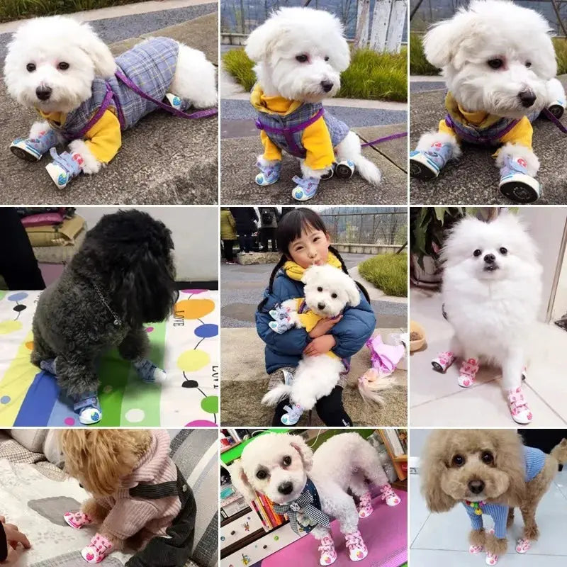 Pet Dog Canvas Shoes for Small Dogs Cute Stawberry Pattern Dog Shoes Anti-Slip Puppy Boots Breathable Cat Sneakers Pet Supplies Nova Trendz