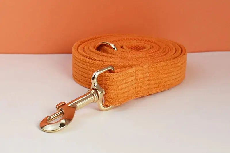 Orange Corduroy Dog Collar And Leash Set For Dogs Custom Engraved Nameplate Pet Supplies Dog Leash Corduroy11 Nova Trendz