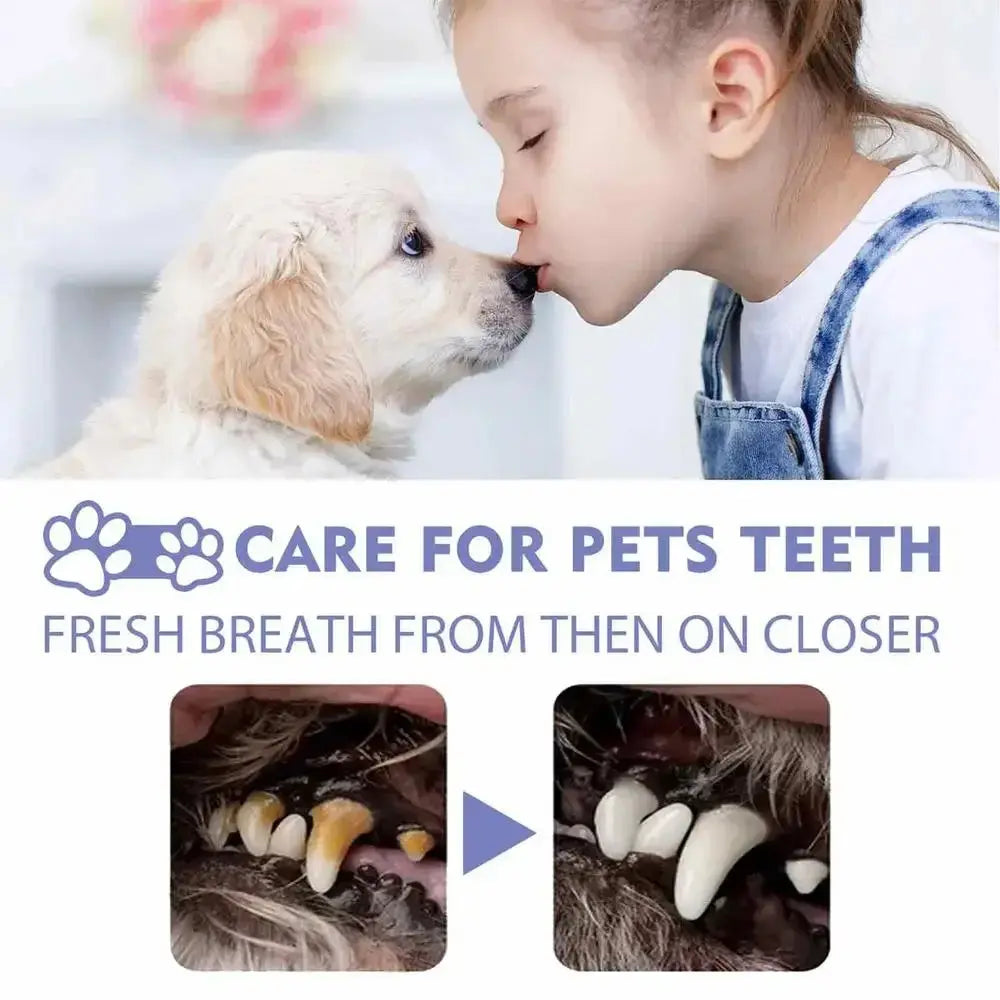 Pet Oral Cleaning Spray 50ml Dogs Cats Teeth Clean Deodorant Prevent Calculus Remove Kitten Bad Breath Mouth Fresh Pet Supplies - Nova Trendz