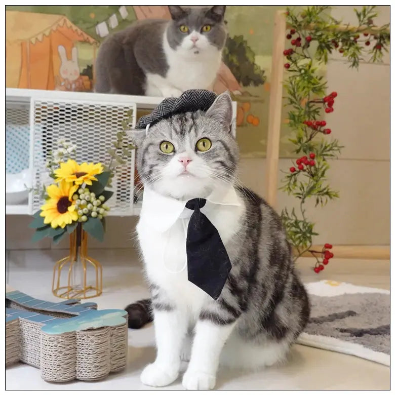 Funny Pet Cat Hat Gentleman's Hat Beret Tie Bathing Blood Gangster Handsome Cosplay Photo Prop Dog Halloween Costume Nova Trendz