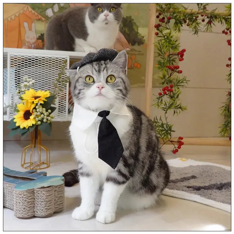 Funny Pet Cat Hat Gentleman's Hat Beret Tie Bathing Blood Gangster Handsome Cosplay Photo Prop Dog Halloween Costume Nova Trendz