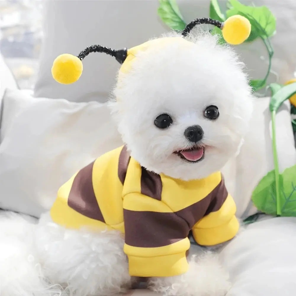 Bee Pet Puppy Coat Apparel Outfit Dog Halloween Hoodies Winter Cat Cosplay Costume Holiday Outfit for Small Medium Dogs & Cats - Nova Trendz