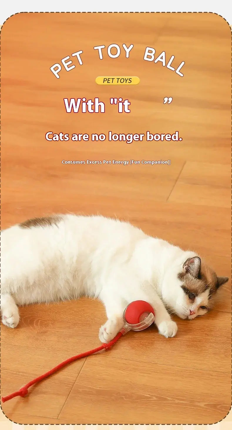 Cat Interactive Ball Toys Automatic Rolling Ball Faux Tail Rechargeable Smart Pet Electric Toy Dog Cat Training Imitate Mouse - Nova Trendz