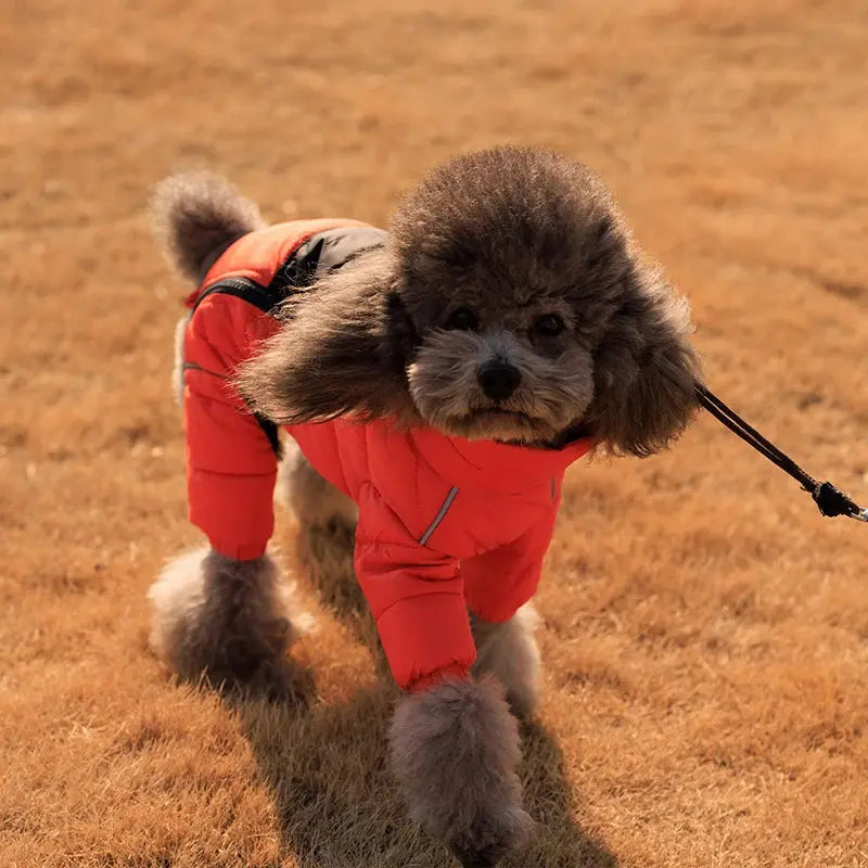 Dog Thicken Cotton-padded Coat Pet Warm Down Jacket Windproof 4 Legs Pet Outfit Winter Greyhound Husky Corgi Chihuahua Clothes - Nova Trendz