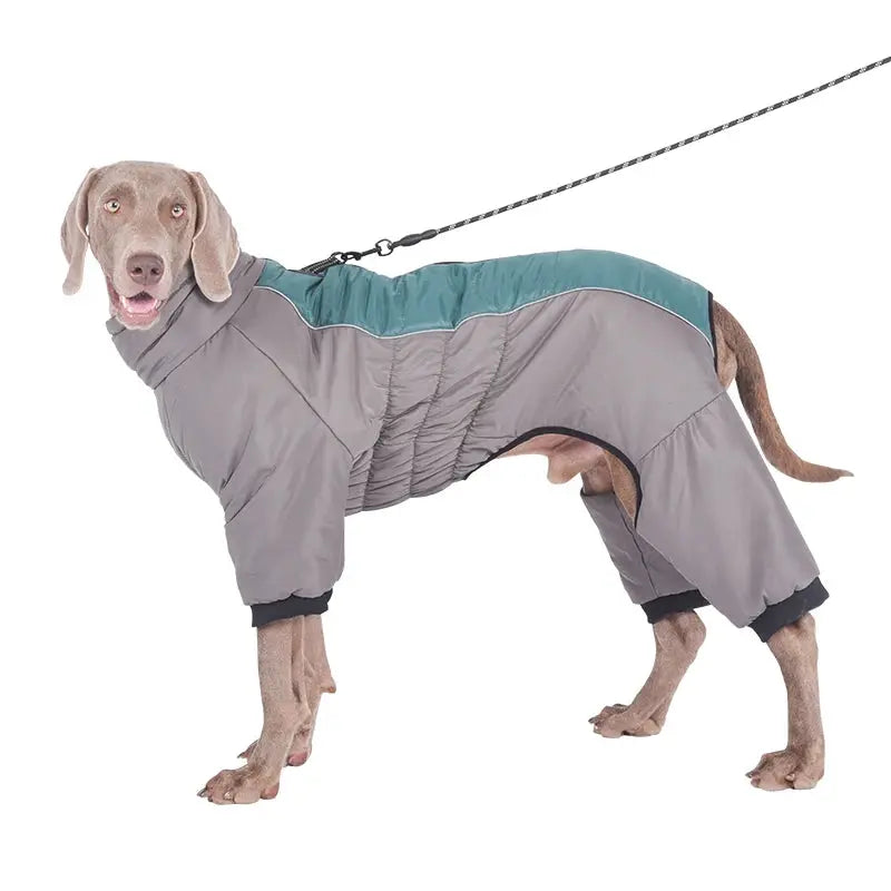 Waterproof Pet Dog Winter Jumpsuit Warm Medium Large Dogs Winter Jacket Clothes Labrador Bulldog Golden Retriever Costumes - Nova Trendz