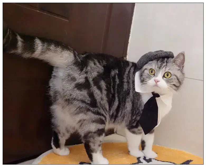 Funny Pet Cat Hat Gentleman's Hat Beret Tie Bathing Blood Gangster Handsome Cosplay Photo Prop Dog Halloween Costume Nova Trendz